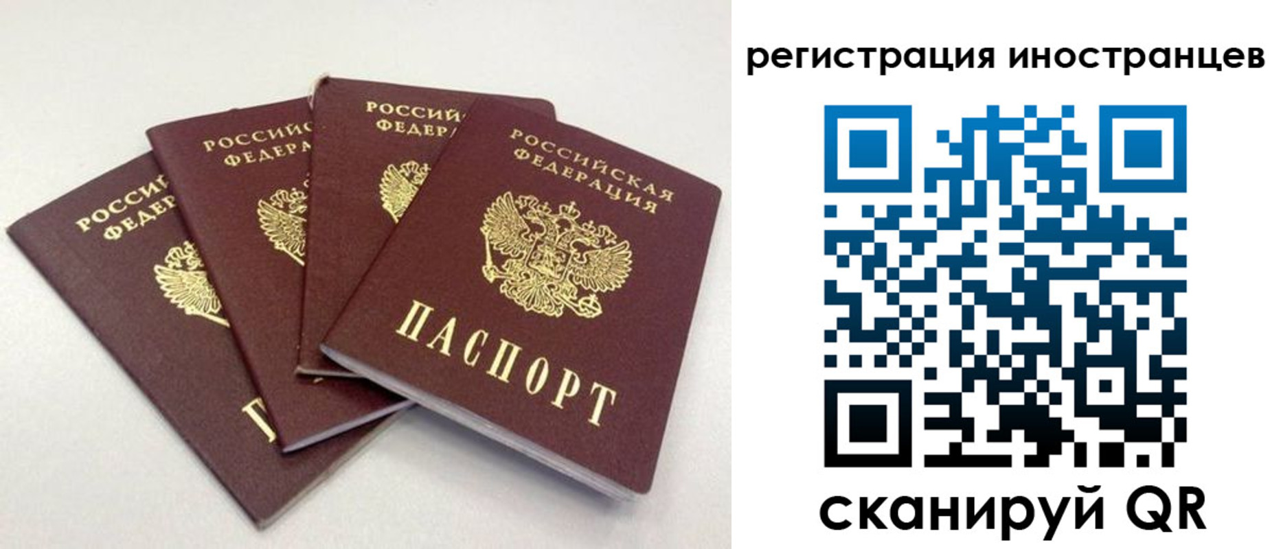 временная регистрация для школы в Волгодонске